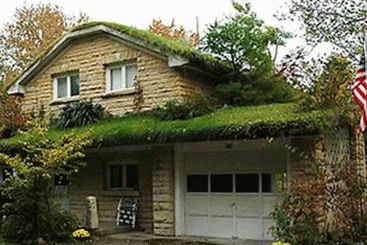 Как сделать травяную крышу?