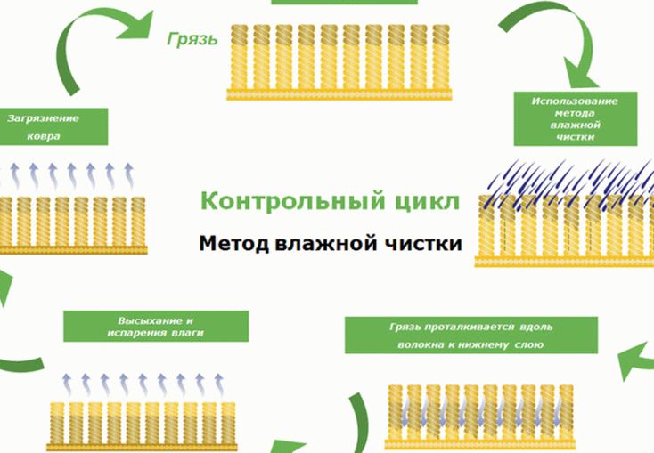 Влажная чистка ковра