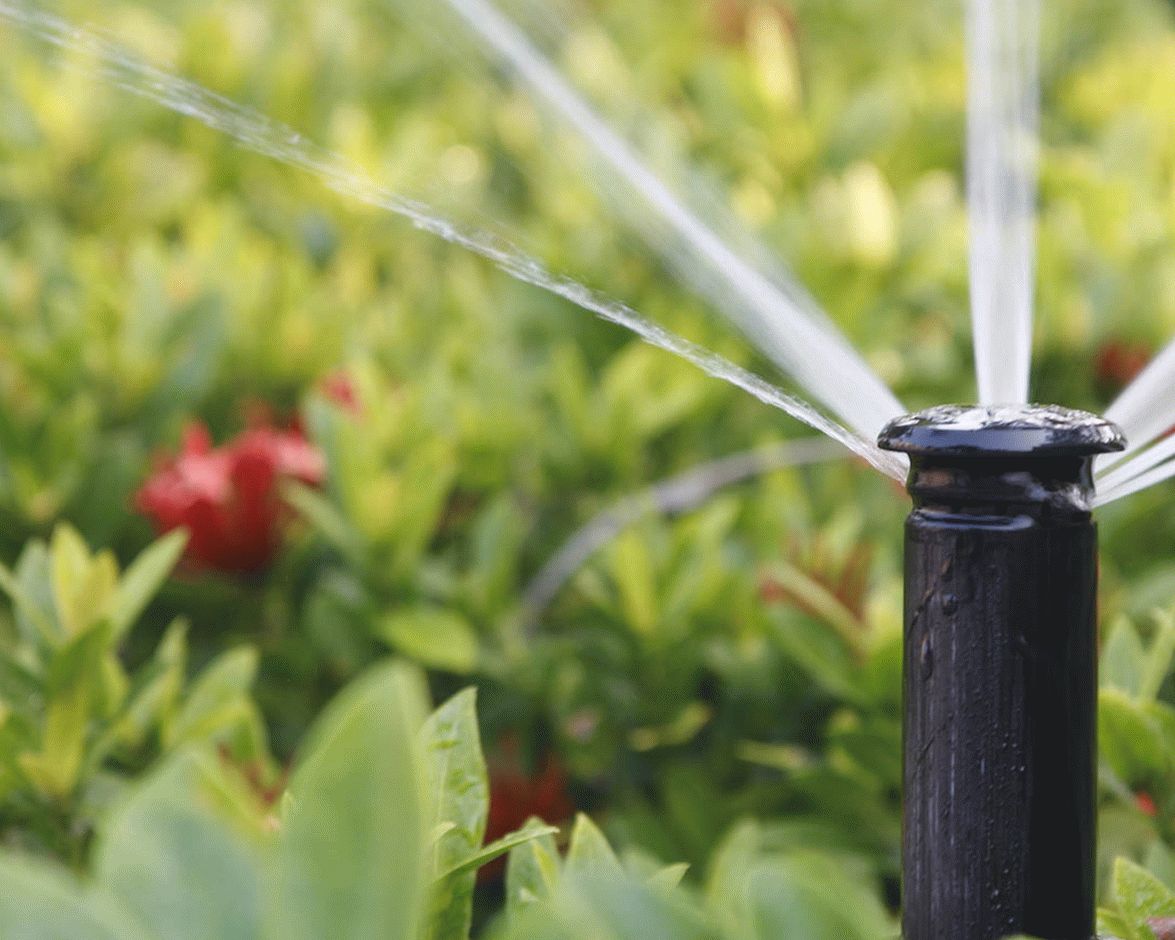 Автоматическая система полива растений