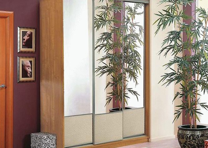 Растение в кадке перед зеркалом против двери