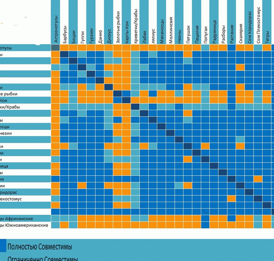Совместимость аквариумных рыб